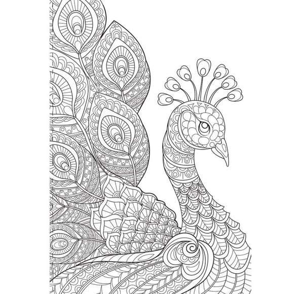 Animals and More Coloring Book - Picture 6 of 7